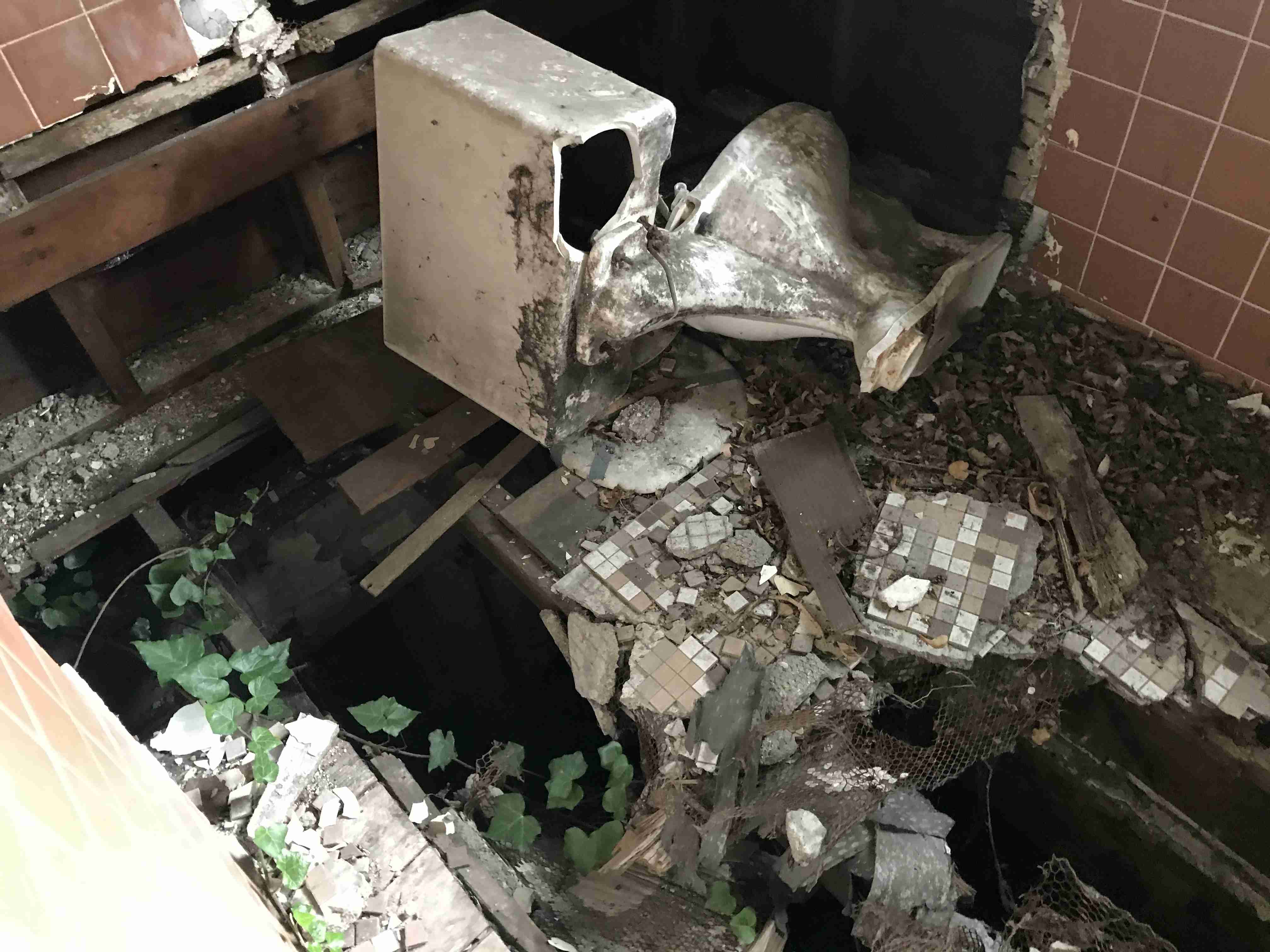 Photo Sep 10, 2 50 45 PM.jpg